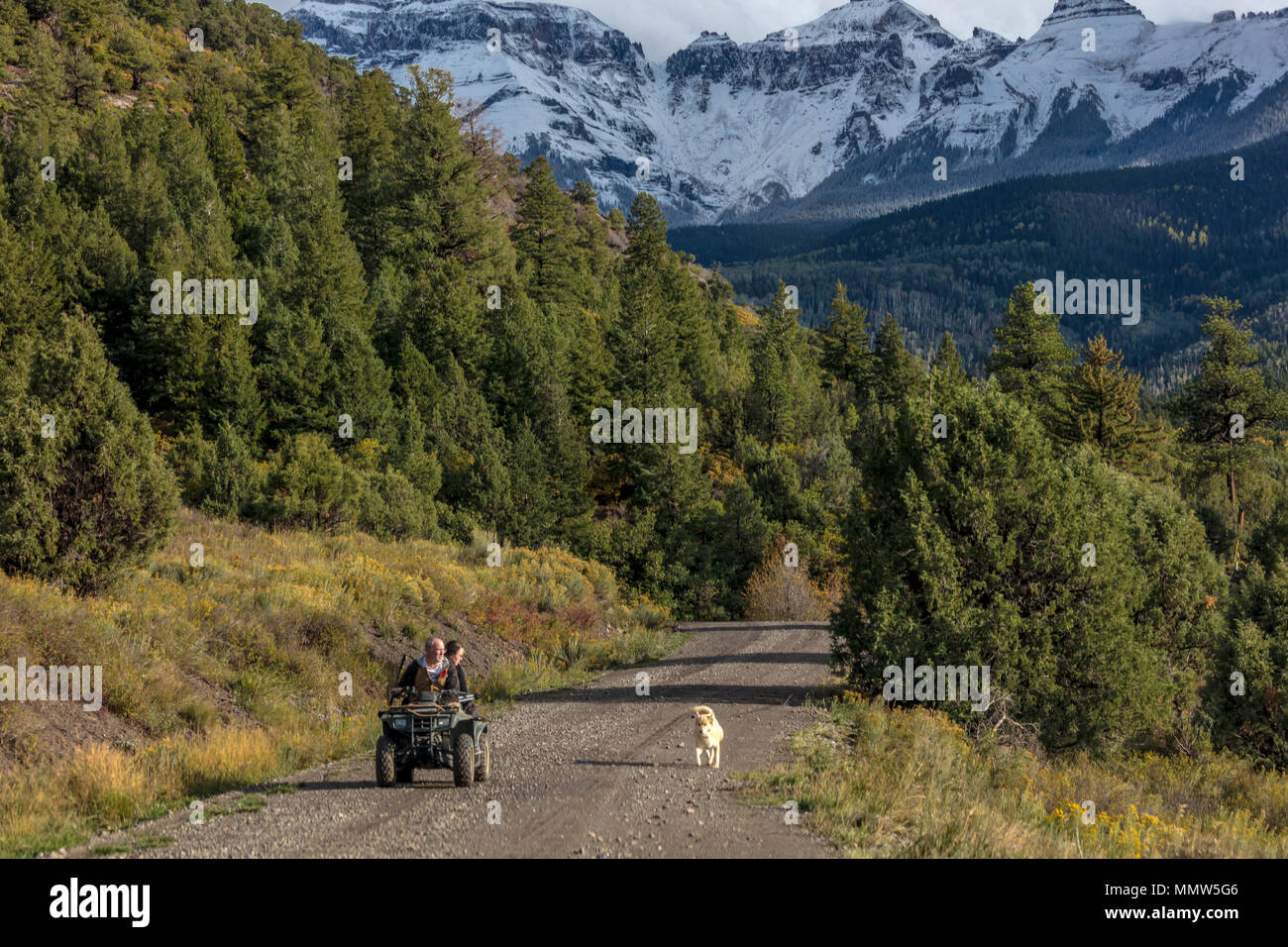 SEPTEMBER 23, 2017 - RIDGWAY, COLORADO - County Road 7 towards San Juan Mountains and Mnt Sneffels shows ATV drivers with labadore dog running alongside Stock Photo