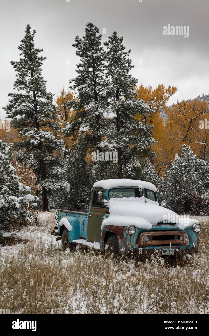 OCTOBER 9, 2017 - Abandoned pickup truck with fresh snow near Ridgway Colorado off County Road 7, Colorado Stock Photo