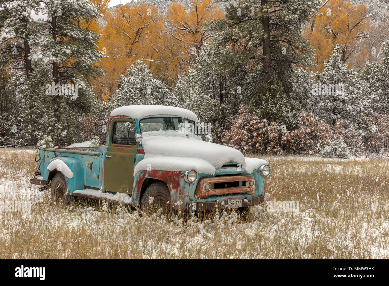 OCTOBER 9, 2017 - Abandoned pickup truck with fresh snow near Ridgway Colorado off County Road 7, Colorado Stock Photo