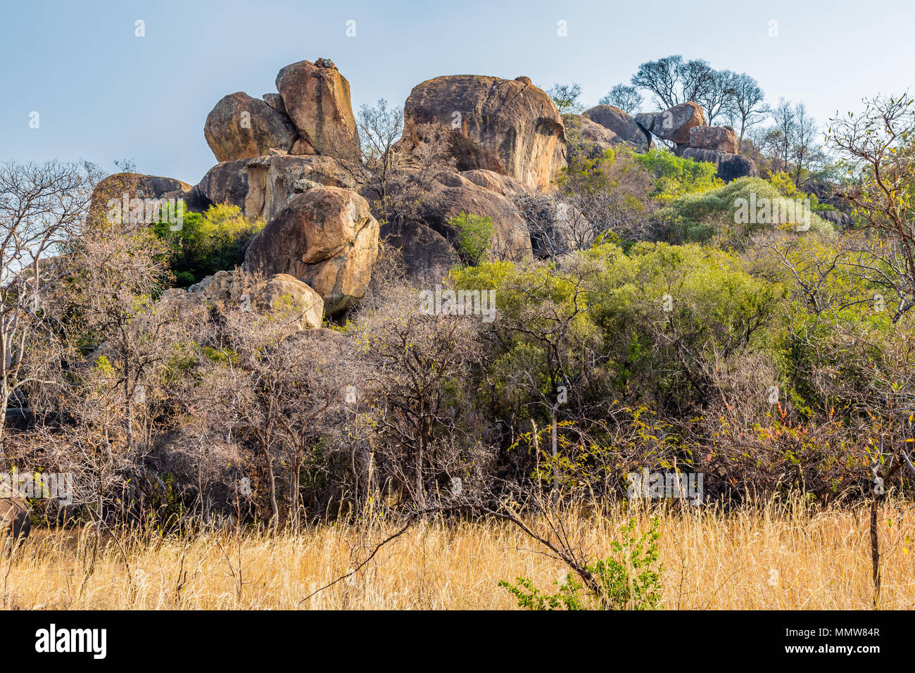 Balancing rocks in Matobo National Park, Zimbabwe, formed by millions of years of weathering. Stock Photo