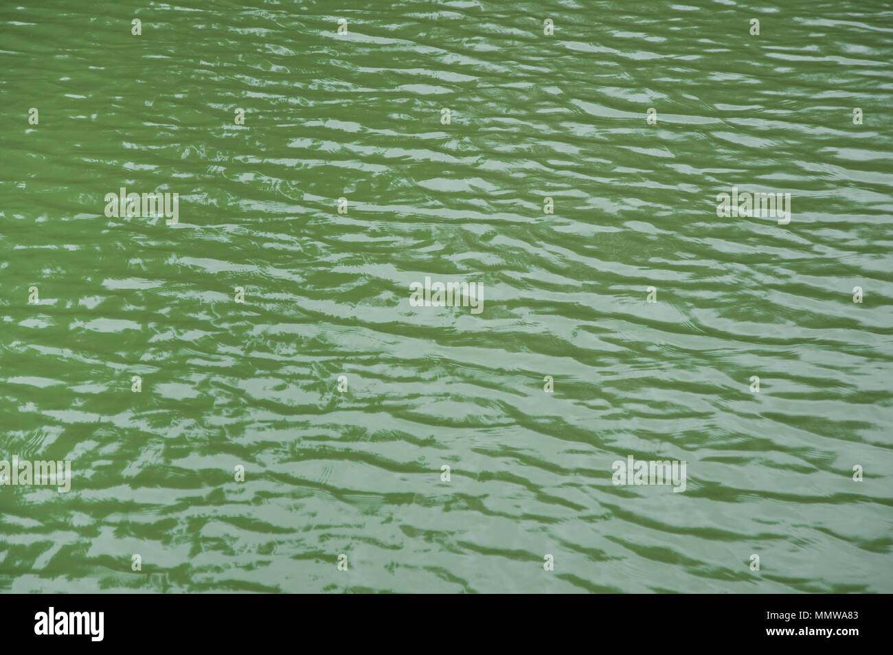 Green lake water background Stock Photo - Alamy