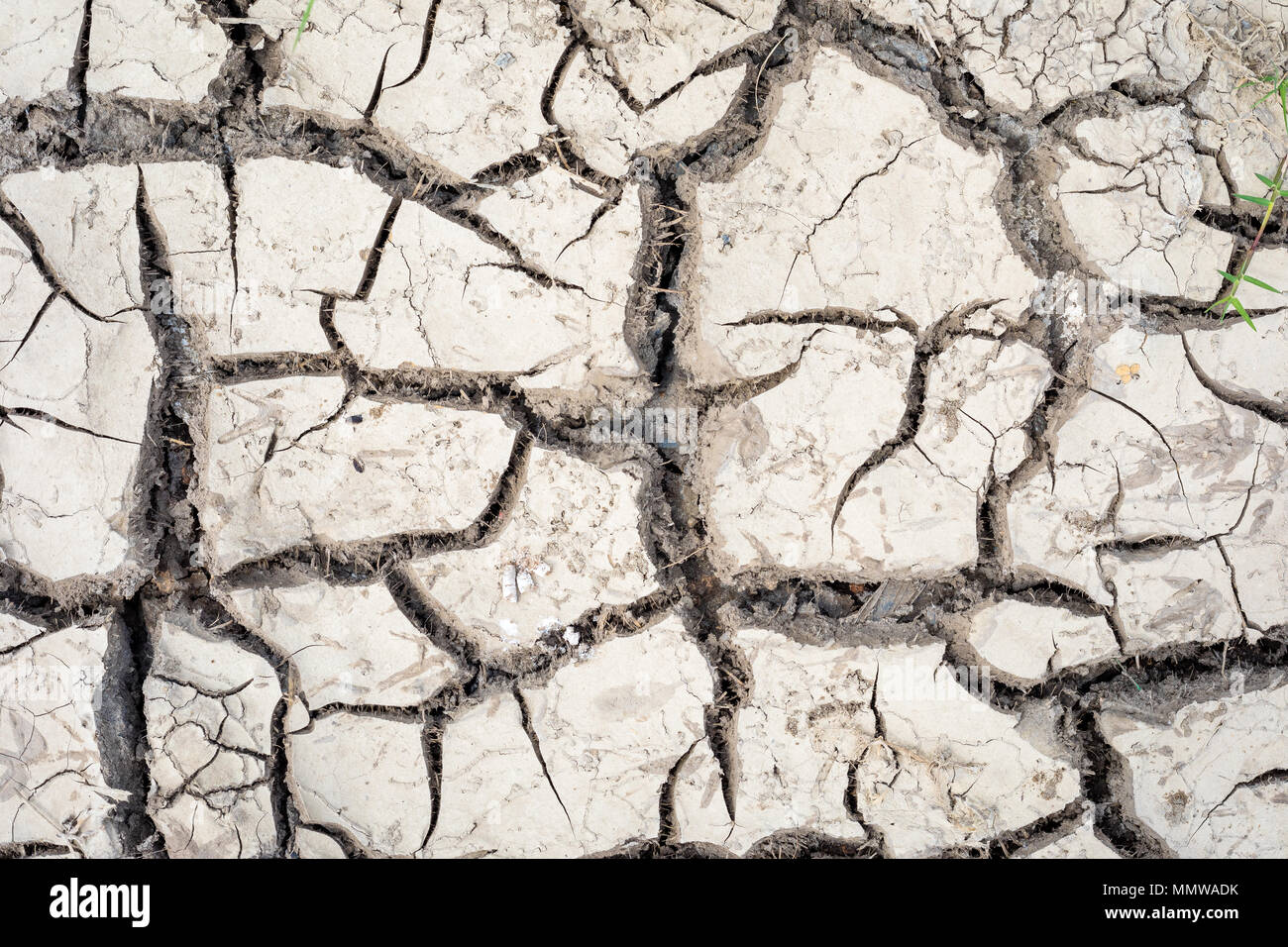 Crack soil on dry season , global warming effect . texture Stock Photo ...