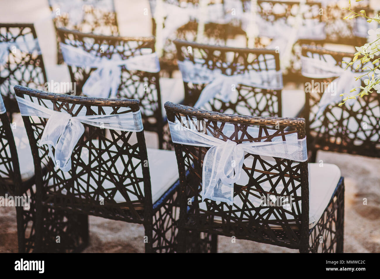 A group of black wooden chairs decorated with white organza sash for beach wedding venue before the wedding ceremony begin, retro color theme Stock Photo