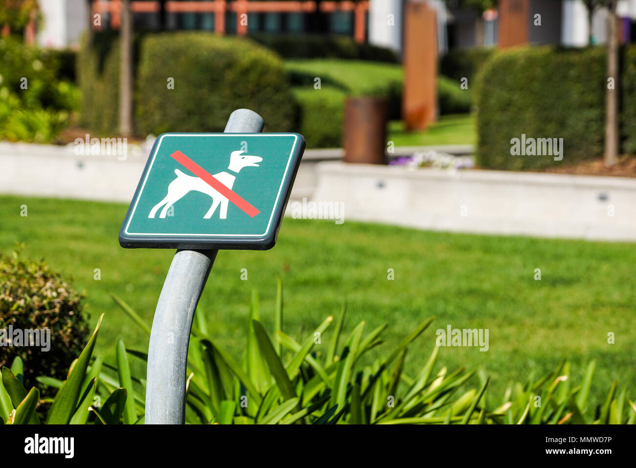 885 No Dogs Allowed Sign Stock Photos - Free & Royalty-Free Stock