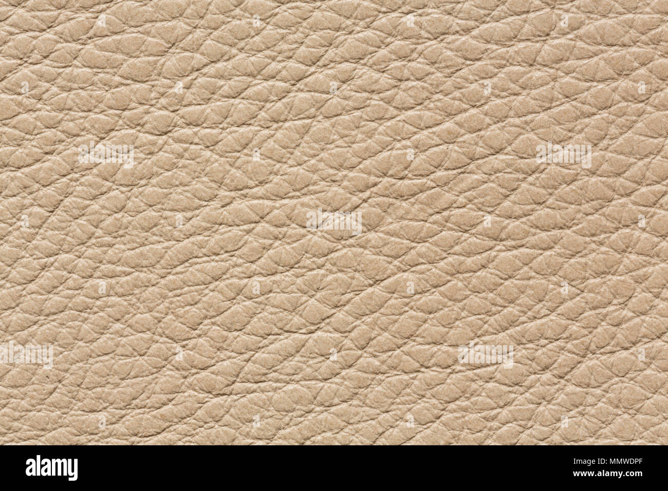 Clean leather texture in classic light colour. Stock Photo