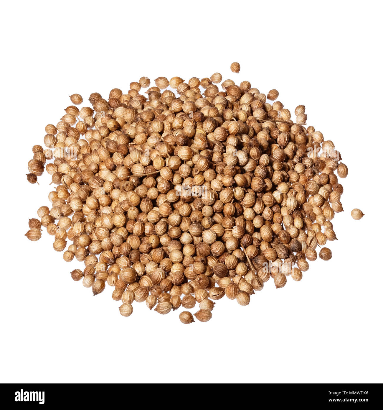Coriander seeds isolated on white background Stock Photo Alamy