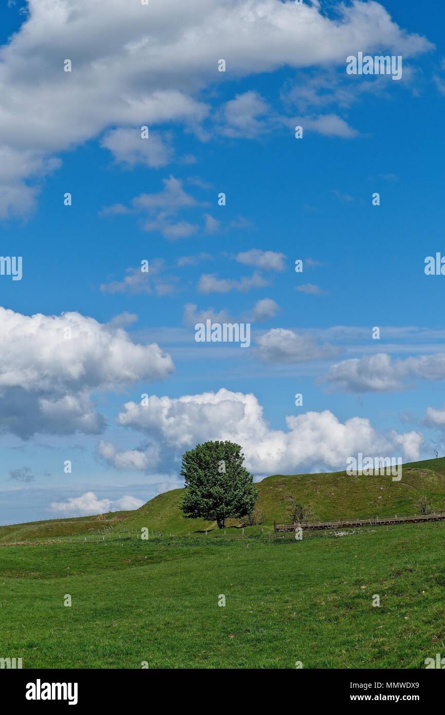 Blue isolated tree hill hi-res stock photography and images - Alamy