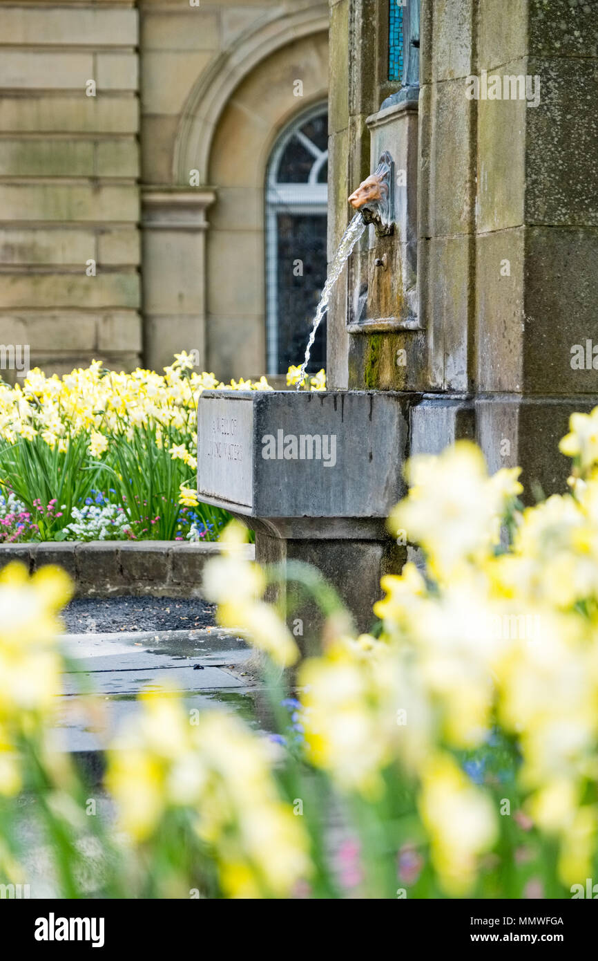 Fountain for mineral water hires stock photography and images Alamy