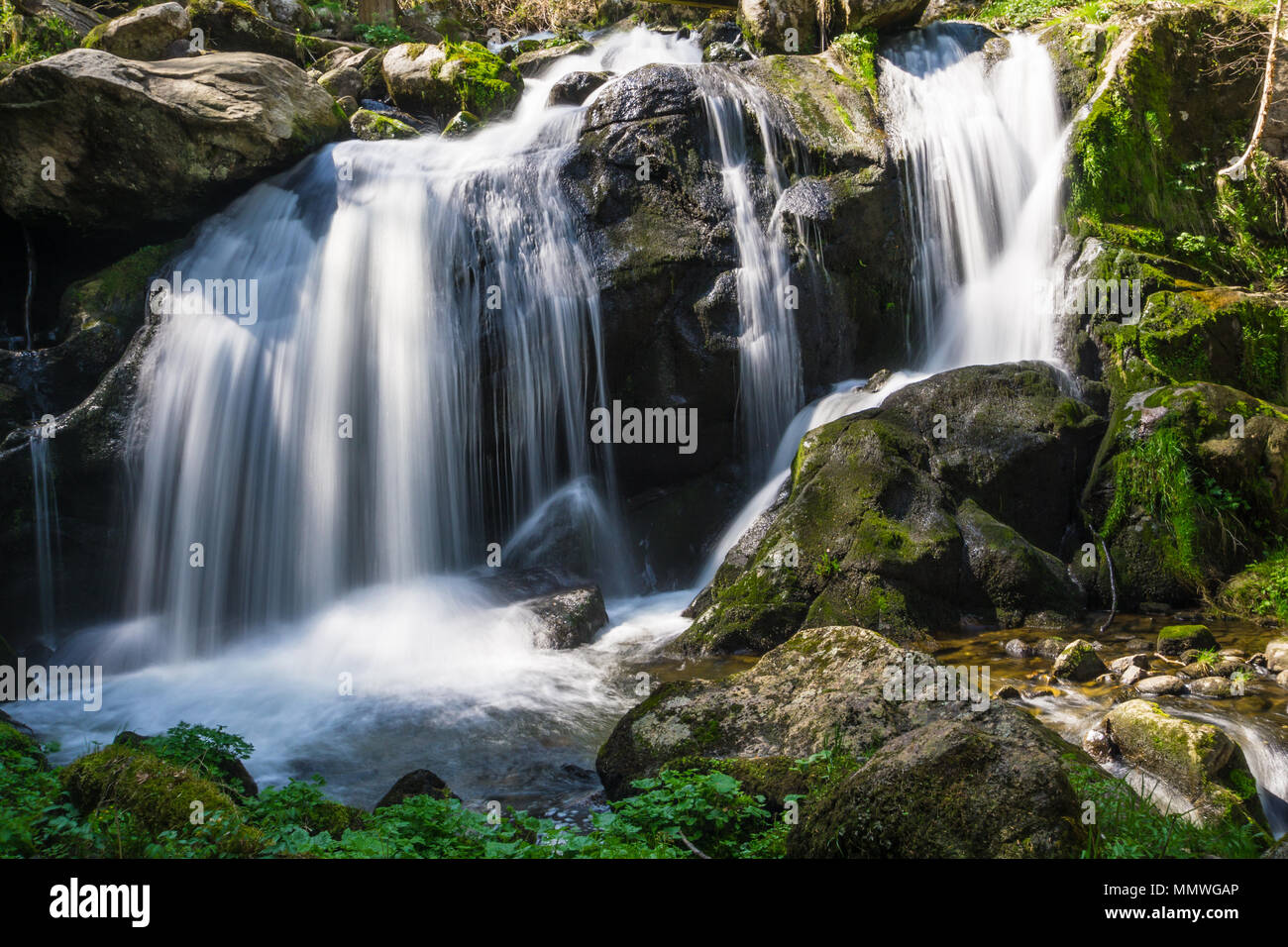 Germany, Destination beautiful waterfalls of Germany in black forest town triberg Stock Photo