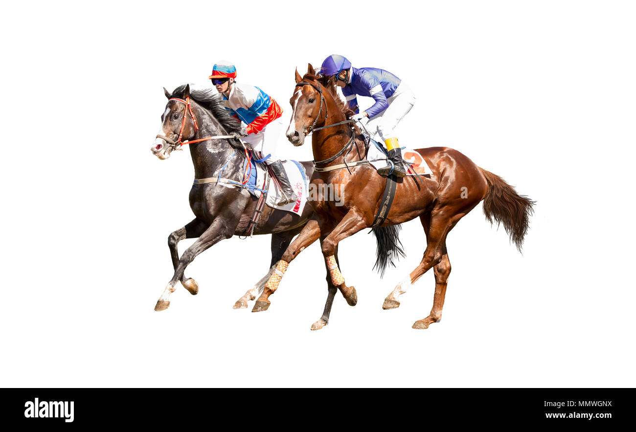 Two racing horses neck to neck in fierce competition for the finish line Stock Photo