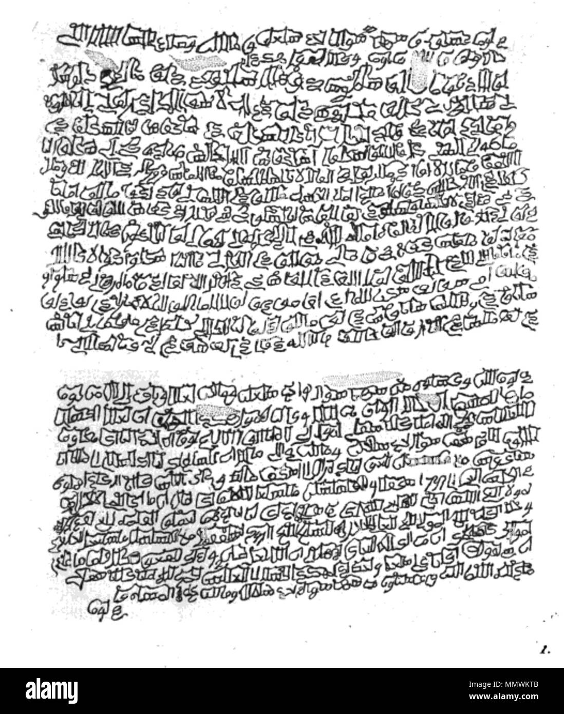 . Italiano La lettera di papa Marino I nel codice martiniano settecentesco. English Marino I . Italiano La lettera di papa Marino I nel codice martiniano settecentesco. English Marino I