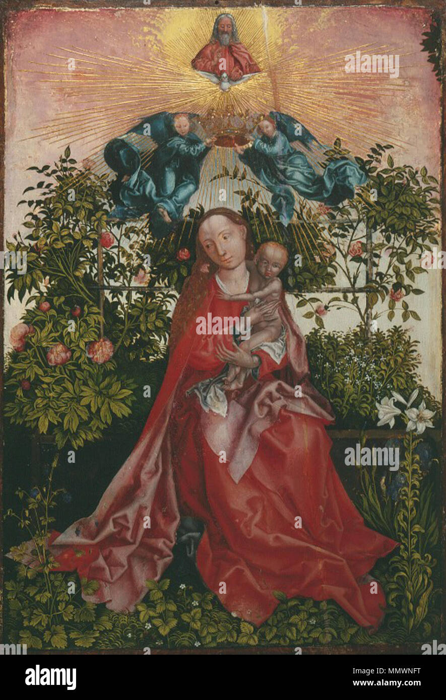 Colmar - 68. COLMAR. Musée. La Vierge au Buisson de Roses. 24858