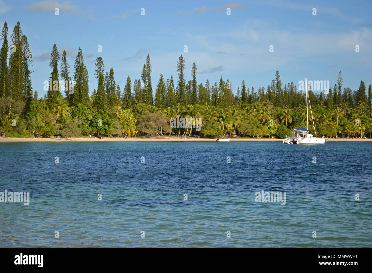 Sailing catamaran docked at Kuto Bay surrounded by endemic cook pines, Araucaria columnaris, Isle of Pines, New Caledonia, South Pacific Stock Photo