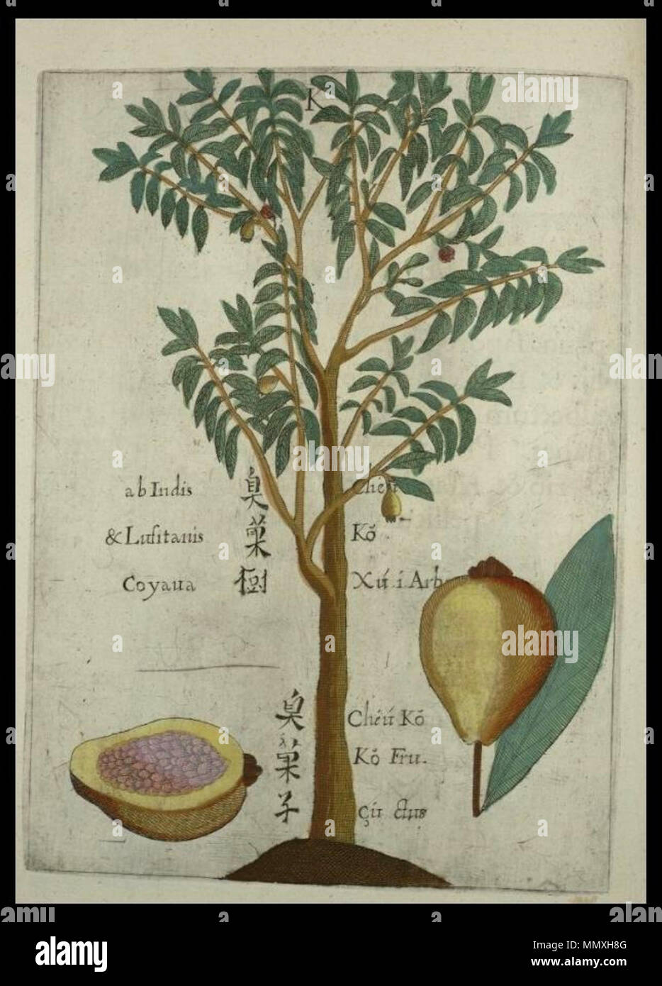 Jesuit Missionary China Stock Photos Amp Jesuit Missionary