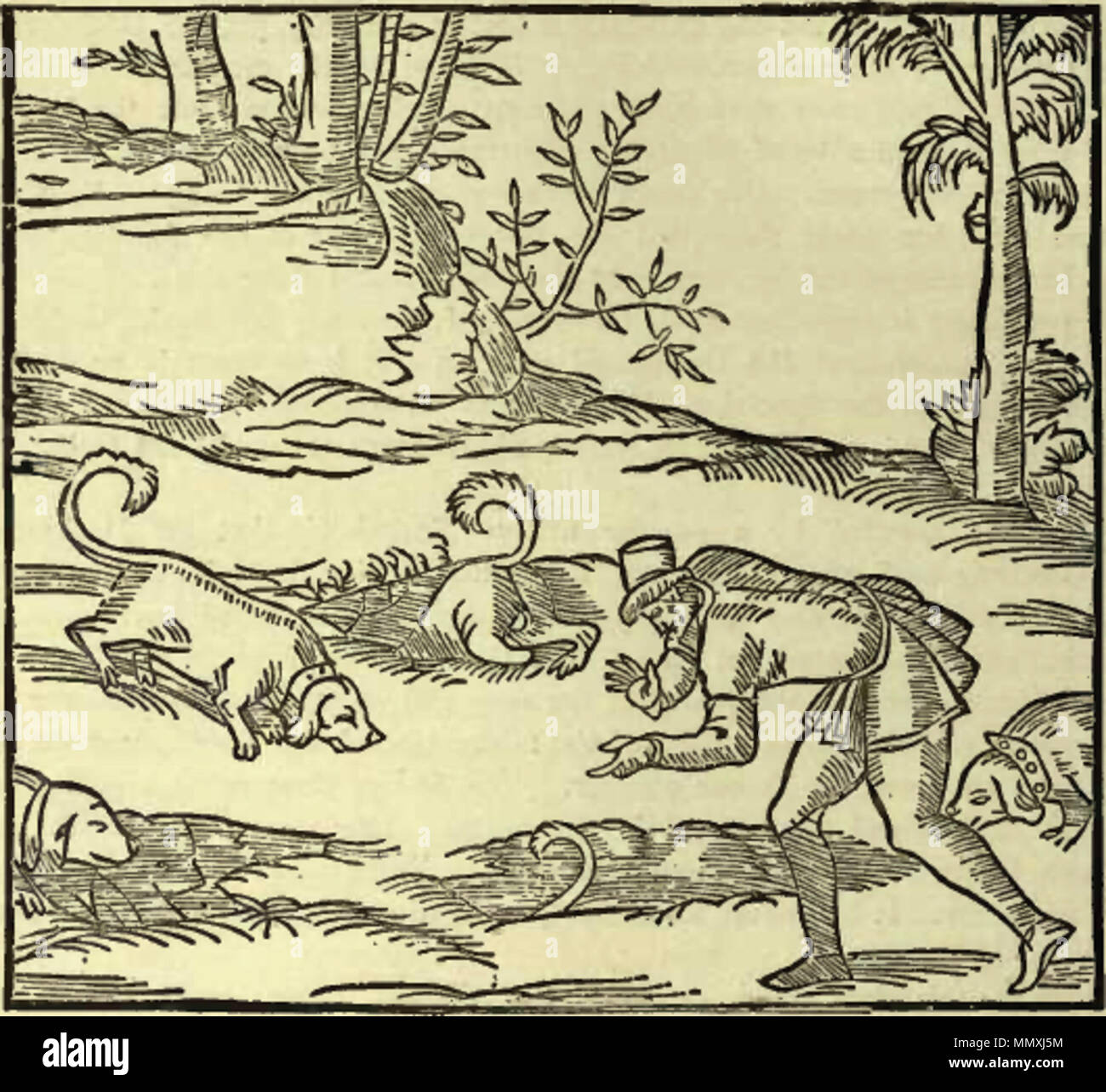 . English: first mention of a 'basset' dog in La Venerie, an illustrated hunting text written by Jacques du Fouilloux  . 1560. Jacques du Fouilloux Fouilloux Basset Stock Photo
