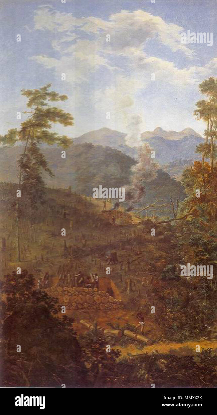 Félix Taunay - 1830 ca. - Mata Reduzida a Carvão (detalhe) Stock Photo