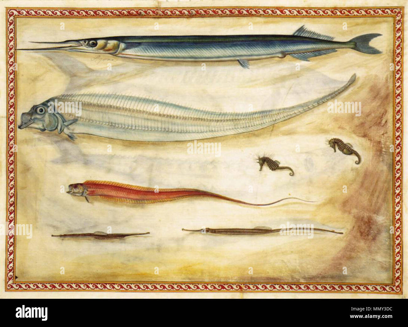 English: Sea animals . 1558. Giorgio Liberale - Sea animals - WGA12970 Stock Photo