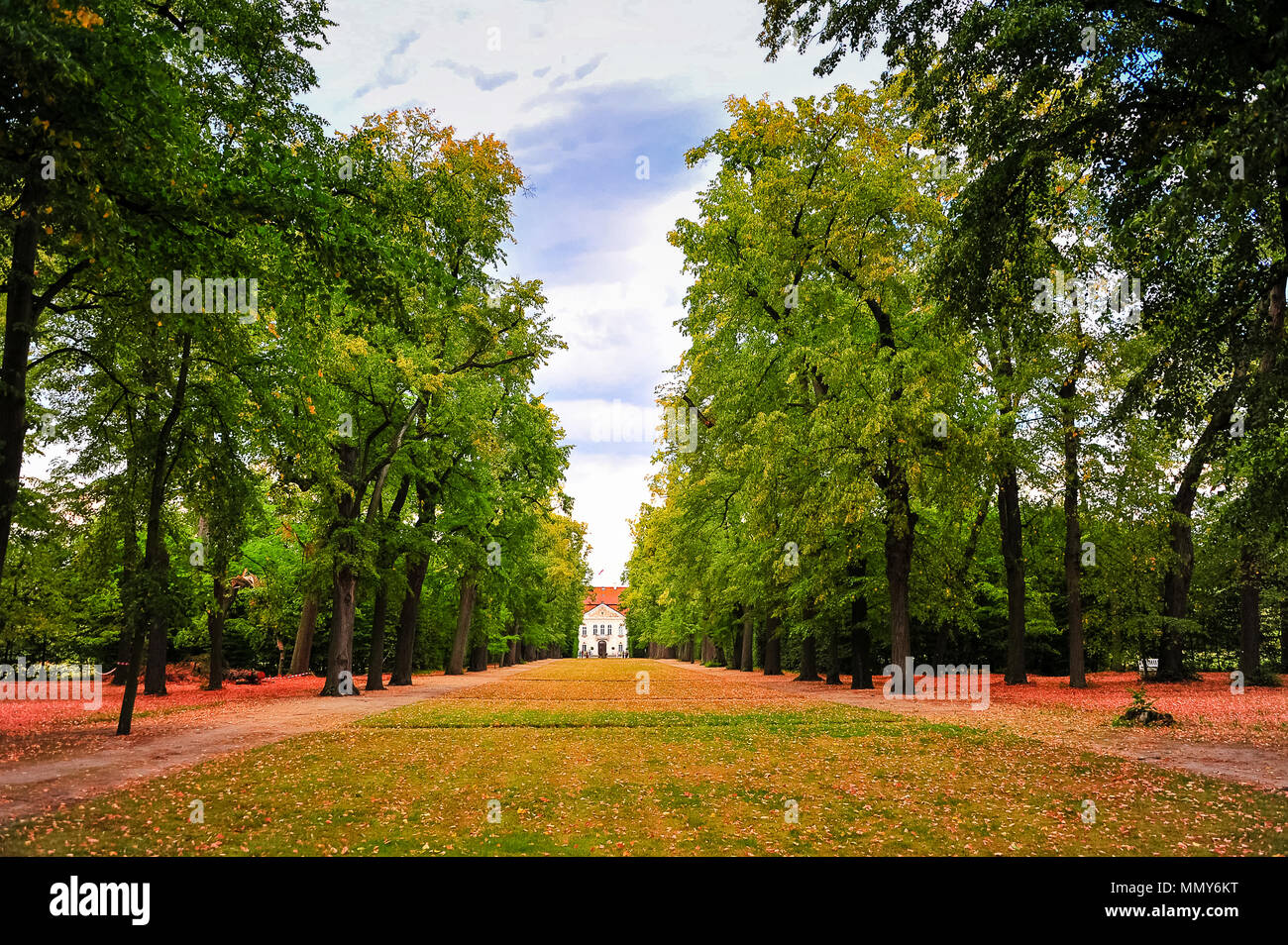 Beautiful avenue of trees in the grounds of Nieborow Palace, a Baroque style residence in Poland. Colourful autumn foliage in a French-design garden Stock Photo