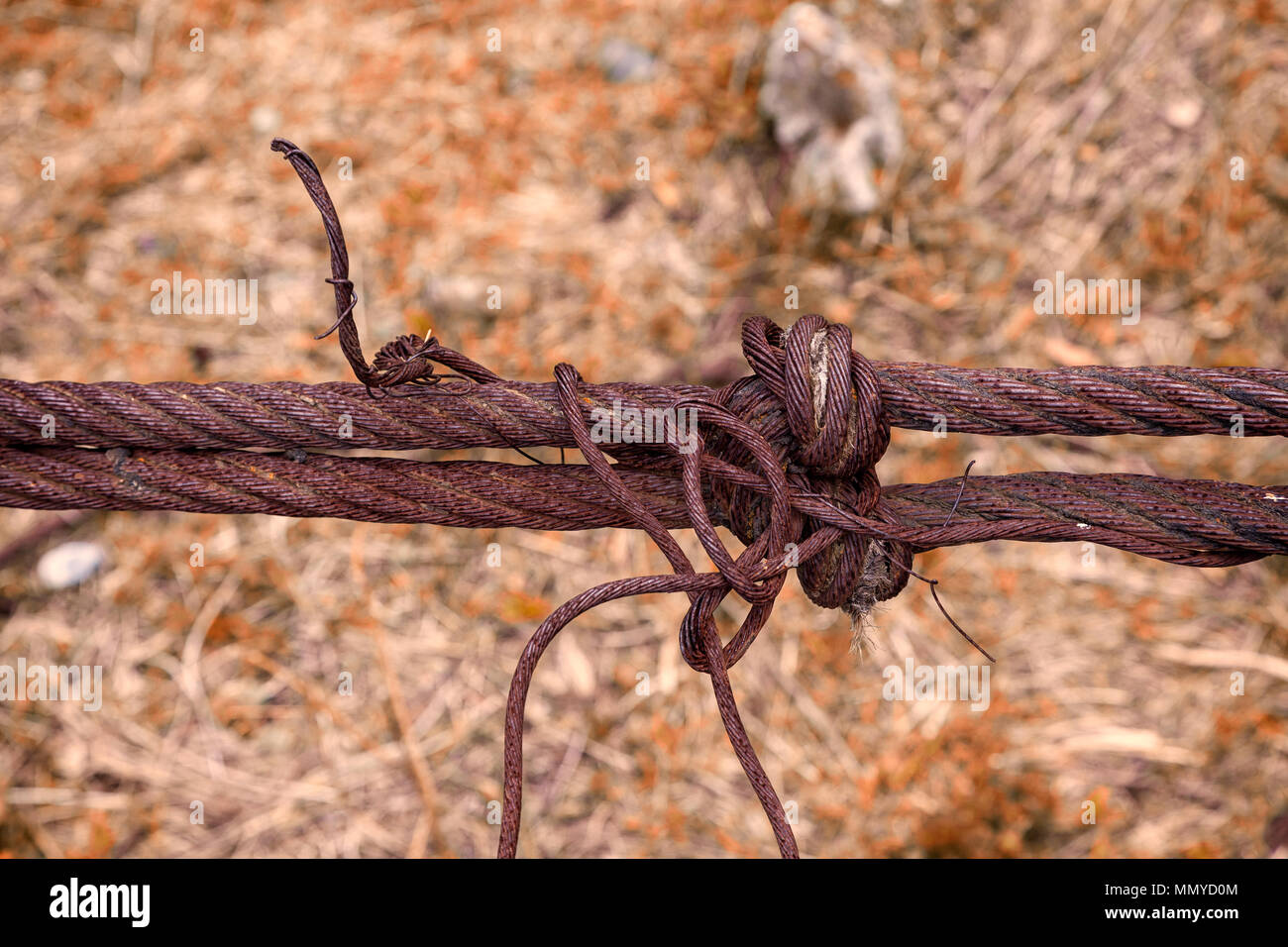 Close-up of an old rusty rope for a bridge Stock Photo - Alamy