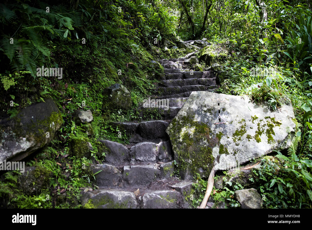 Detail of the Machu Picchu Inca citadel in Peru Stock Photo - Alamy
