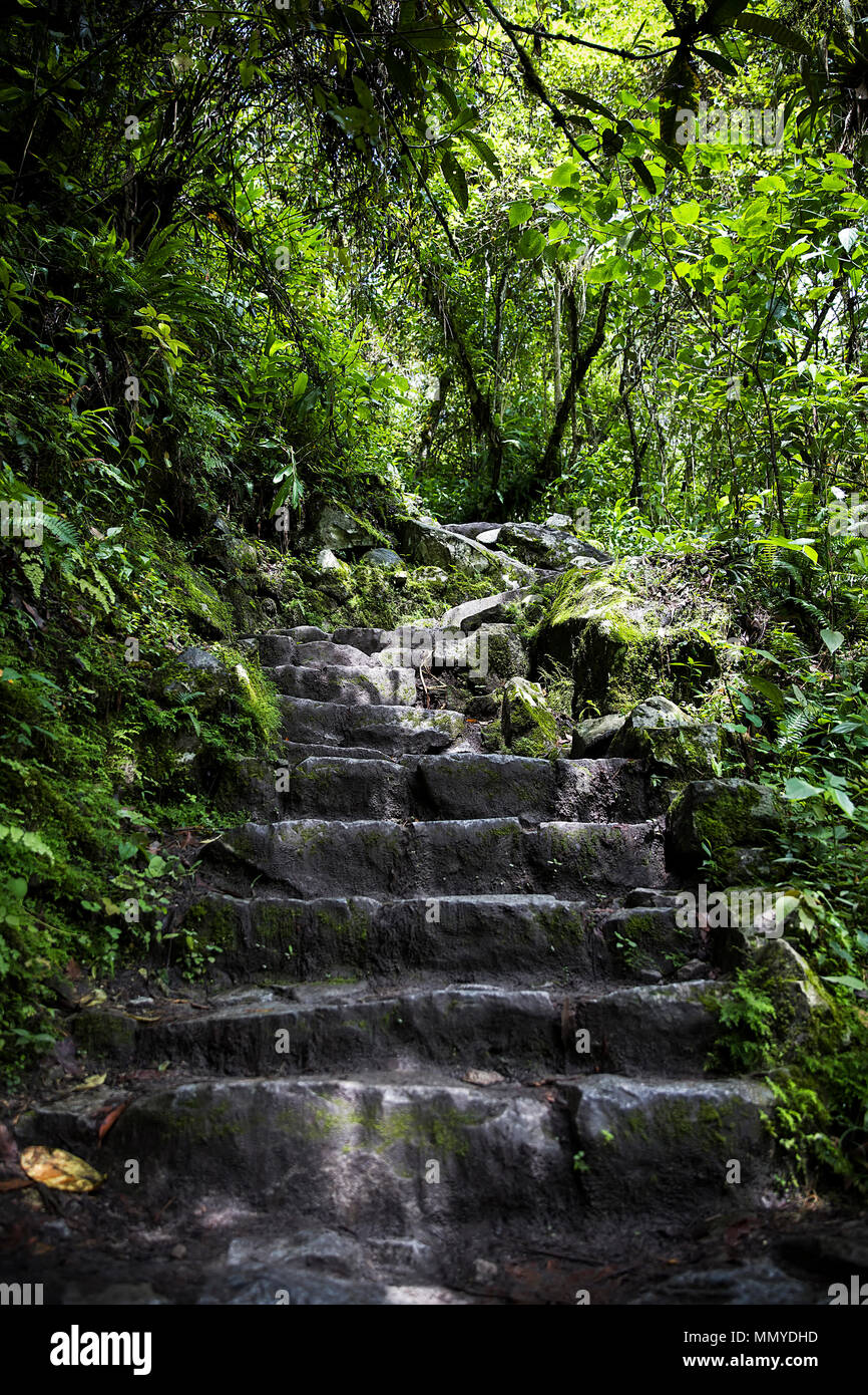 Detail of the Machu Picchu Inca citadel in Peru Stock Photo - Alamy