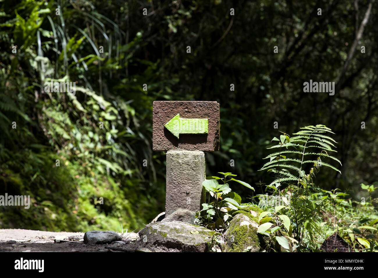 Detail of the Machu Picchu Inca citadel in Peru Stock Photo - Alamy