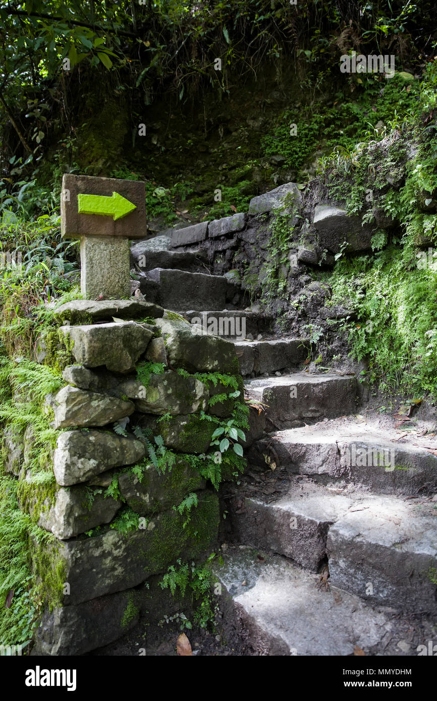 Detail of the Machu Picchu Inca citadel in Peru Stock Photo - Alamy