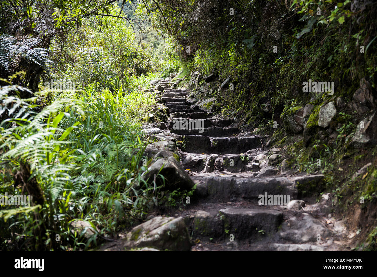 Detail of the Machu Picchu Inca citadel in Peru Stock Photo - Alamy
