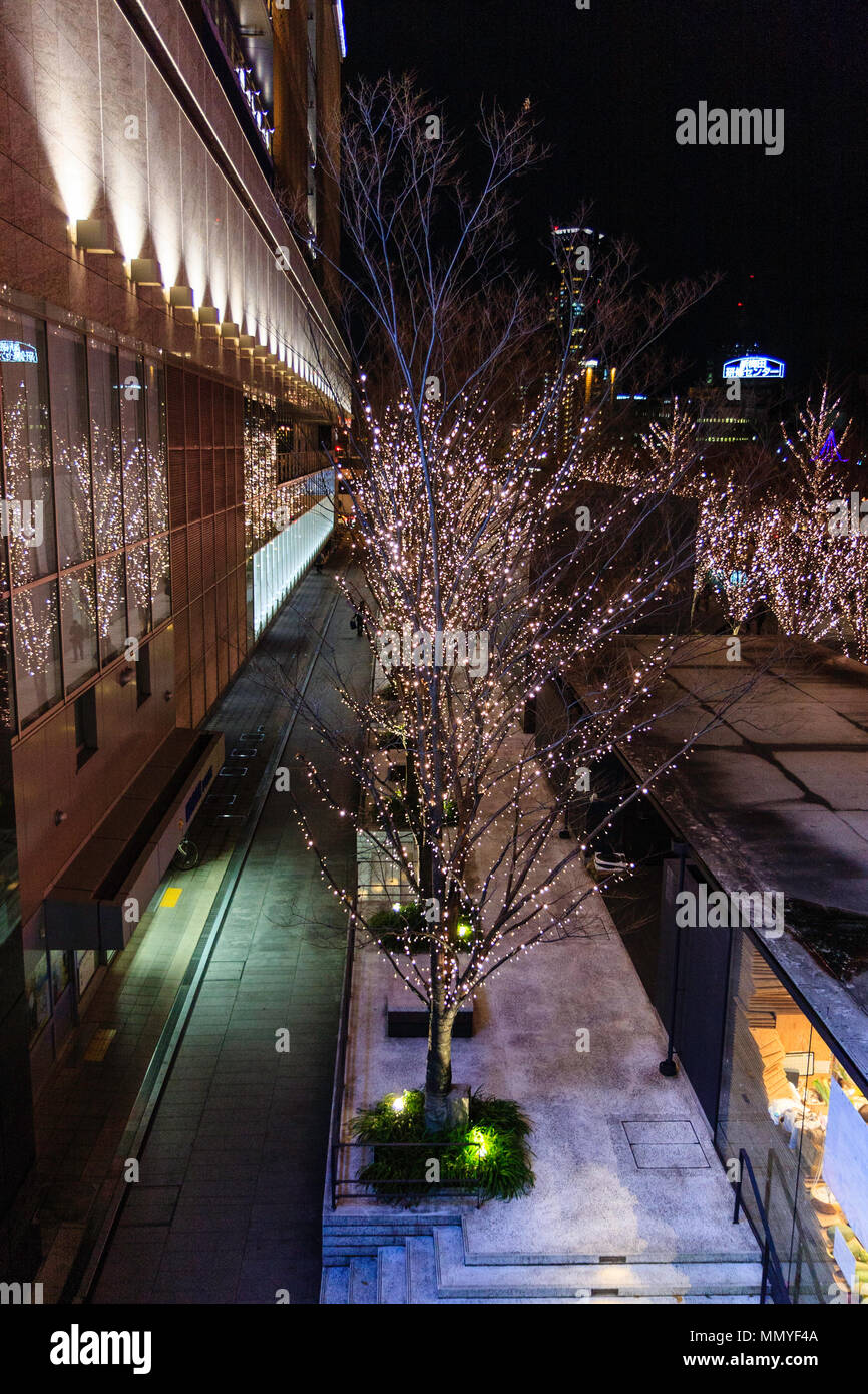 Osaka. Osaka Station City. Christmas lighting display on trees along outside of building. Stock Photo