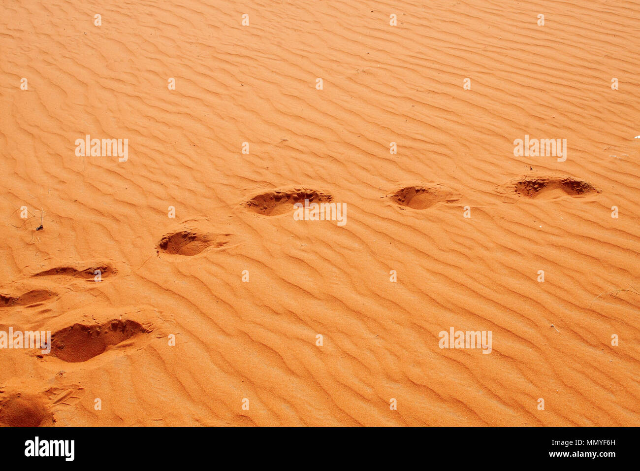 Red sand 