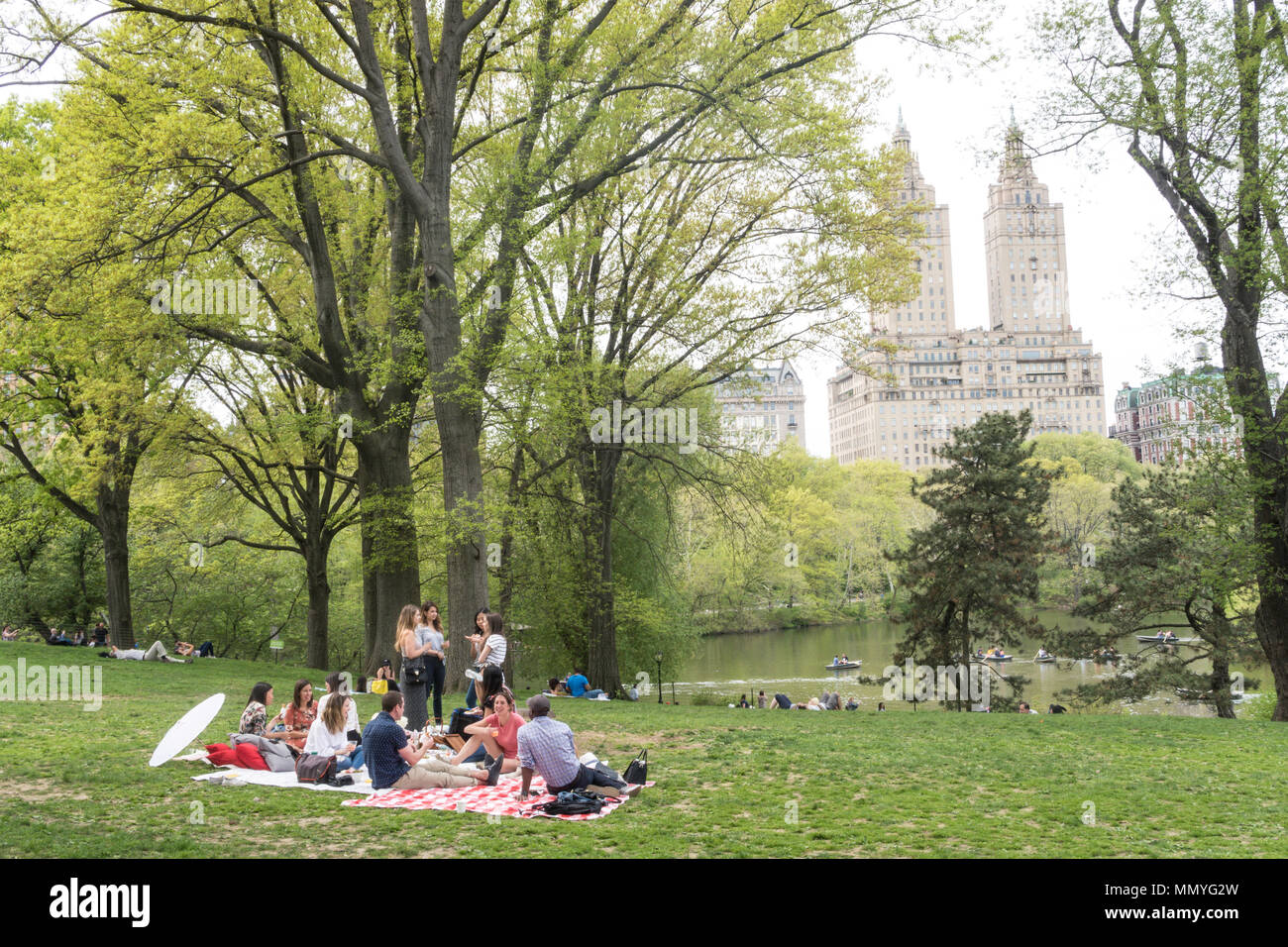 Young Adults picnic in Central Park in the Springtime, Central Park, NYC, USA Stock Photo Alamy