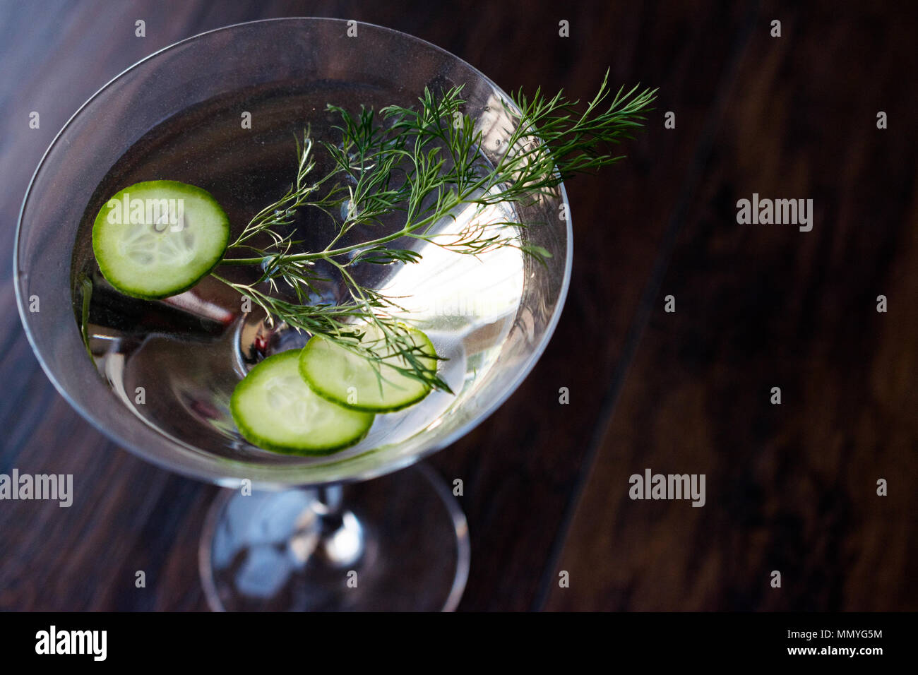 Fresh Dill Martini Cocktail with Cucumber Slices. Beverage Concept
