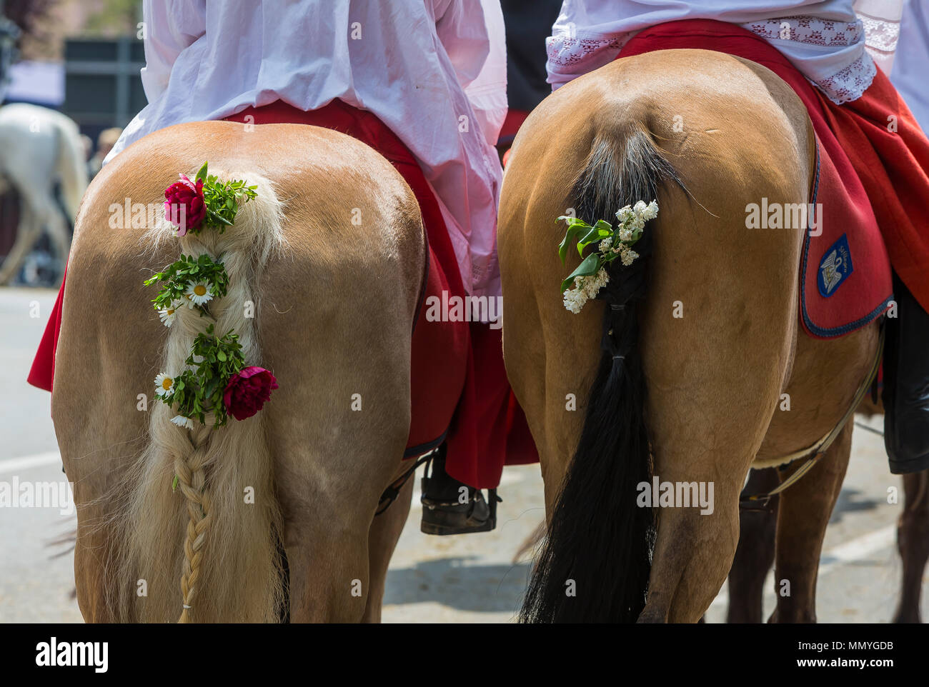 Blutritt, Weingarten, Germany, with 2500 horses, in honor of a blood relic. The pilgrimage is the largest equestrian procession in Europe. Stock Photo