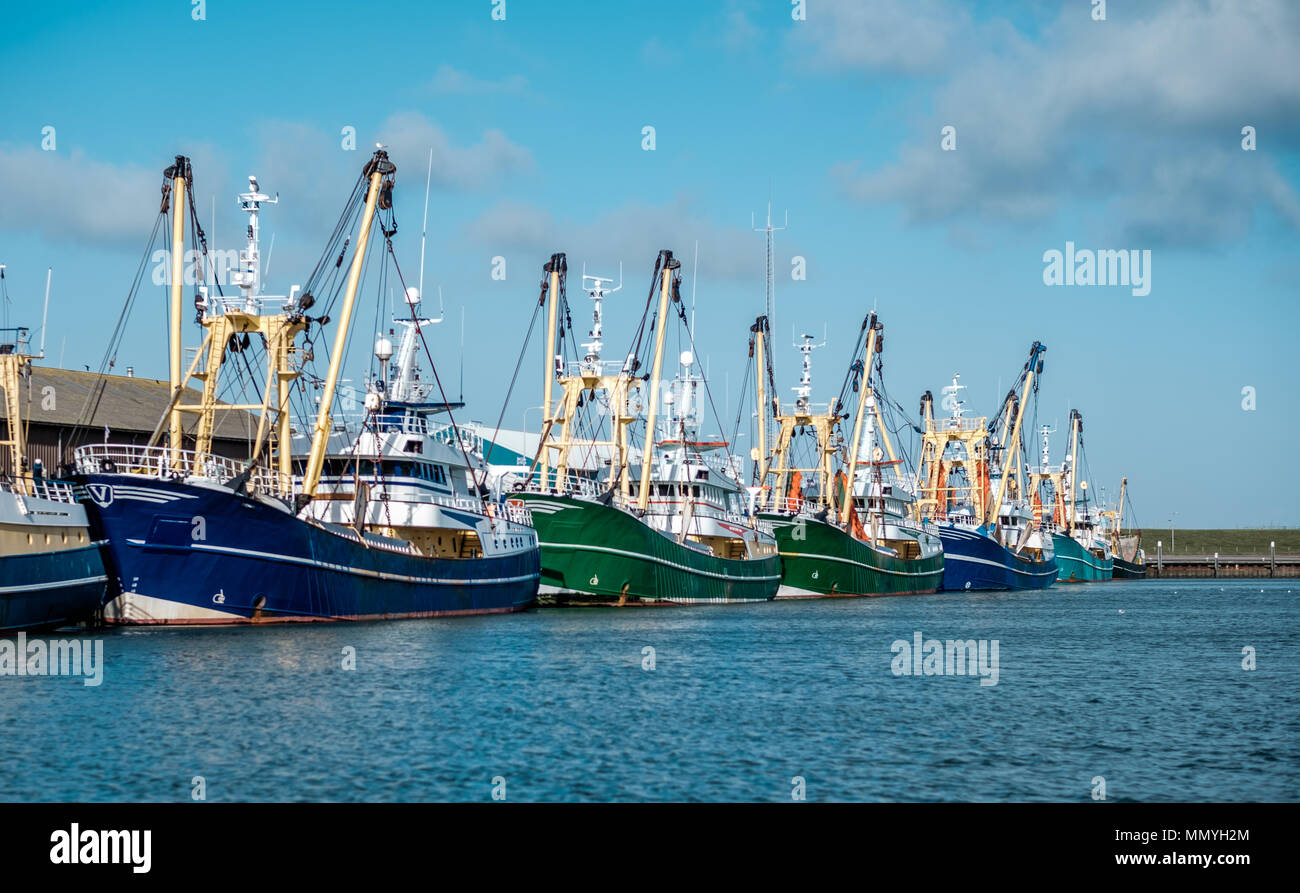 Oudeschild harbor  with docked fishing boats on the Isle of Texel, the Netherlands. Stock Photo