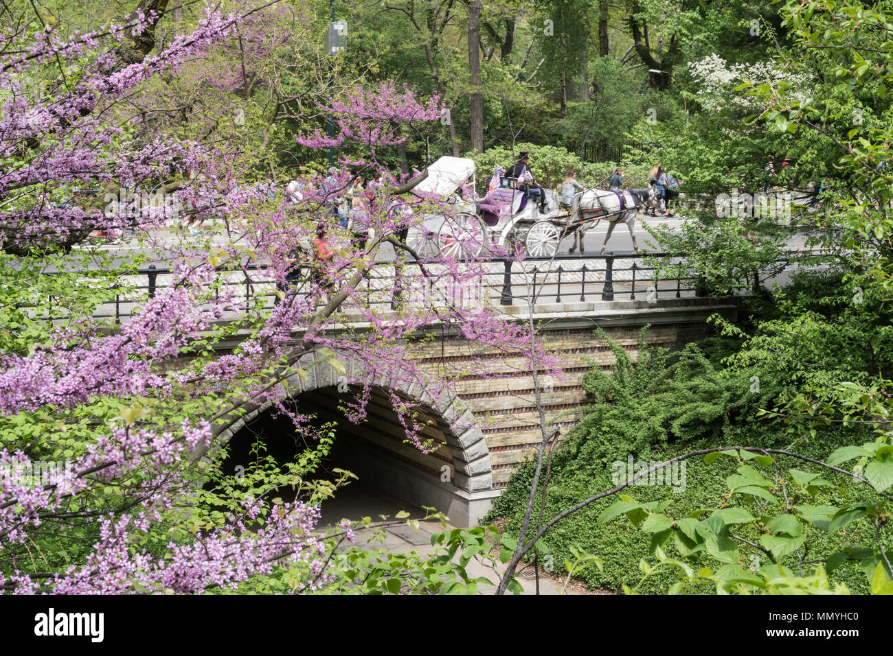 Playmates Arch in Central Park is beautiful in springtime, NYC, USA Stock Photo