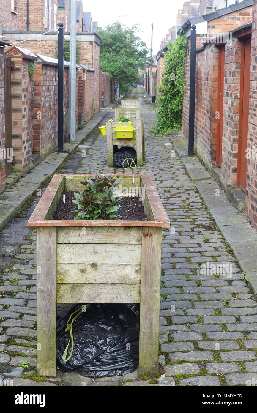 Manchester's famous cobbled back street ginnel Stock Photo