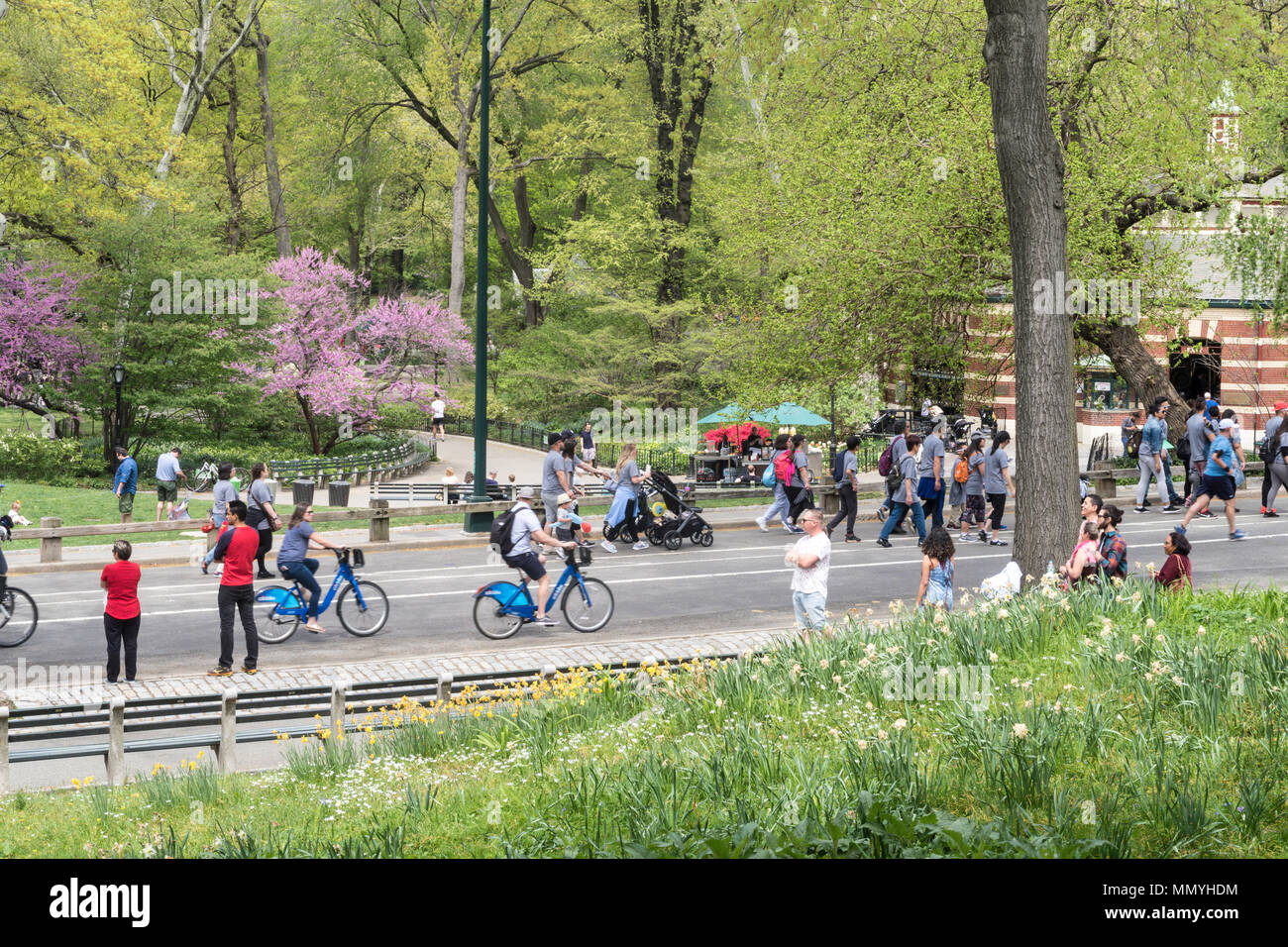 New Yorkers ask tourists enjoy the Spring Weather along the East Drive in Central park, NYC, USA Stock Photo