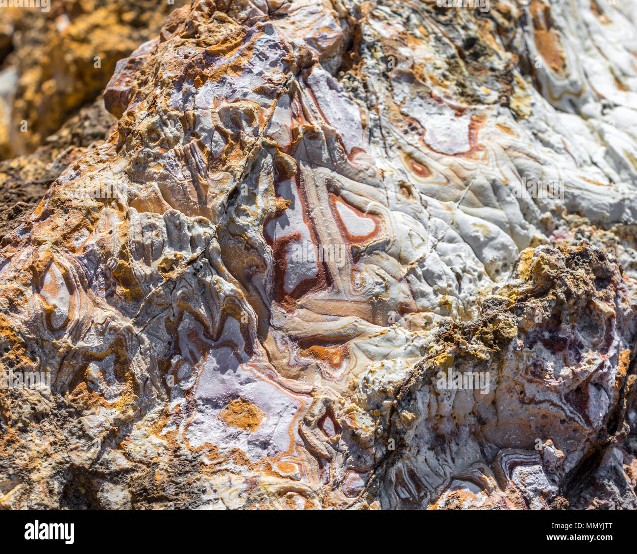 fossilized rock at the natural tidal pools in st barts Stock Photo