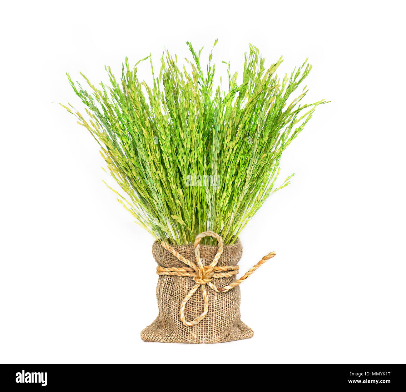 Rice spike decorated in mini sack on white background. Stock Photo