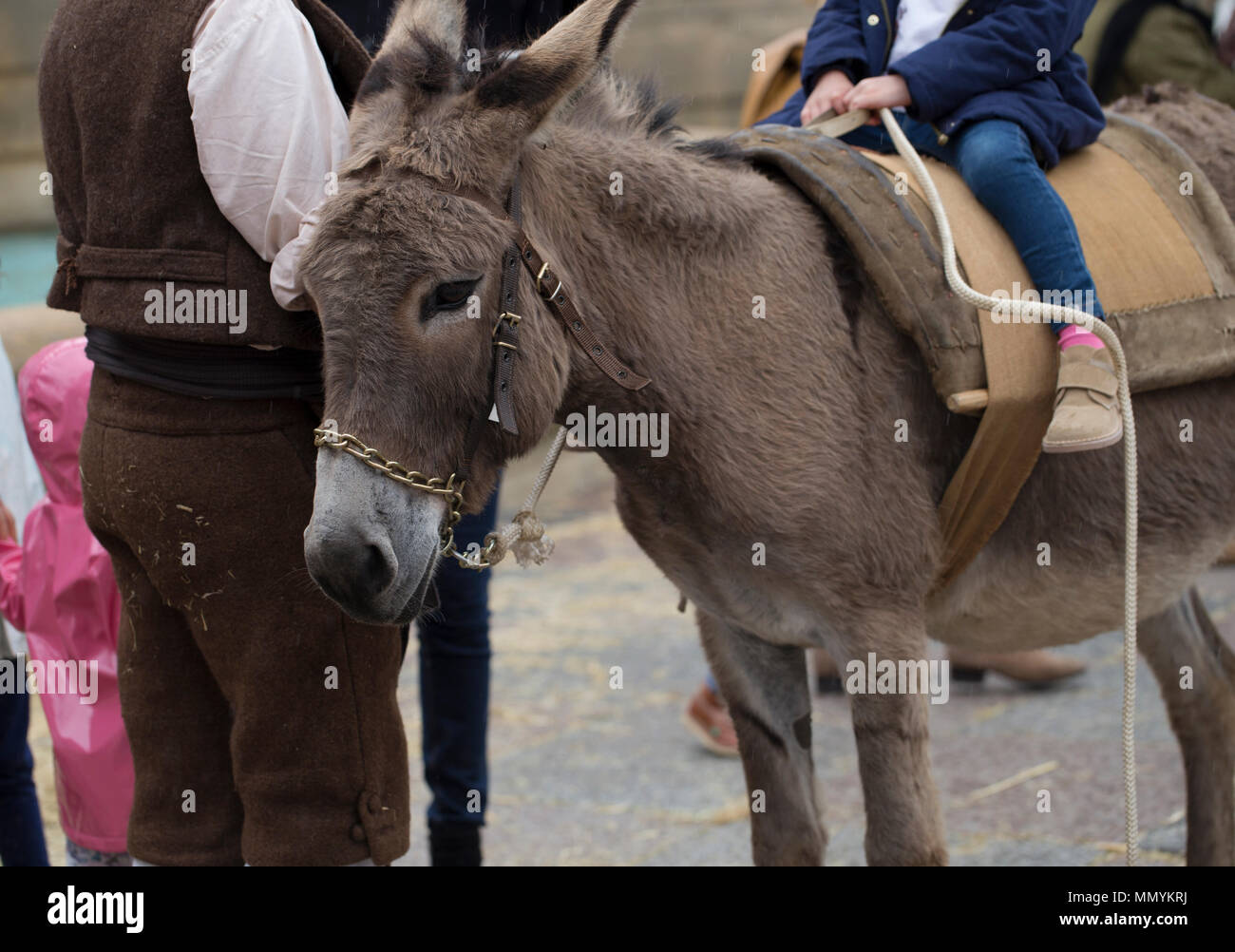 Go Donke Riding Traditional Donkey Rides High Resolution Stock Photography and Images ...