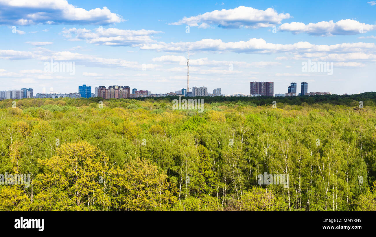 panoramic view of green forest of Timiryazevsky park in Moscow city in ...