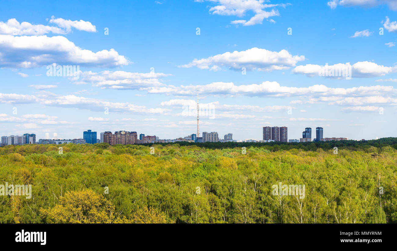 above view of green forest of Timiryazevsky park in Moscow city in ...