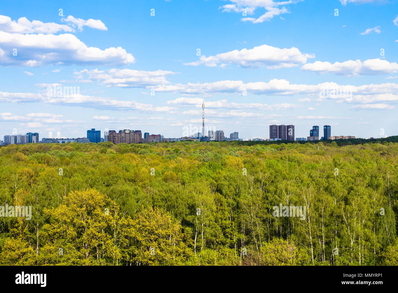 view of green woods of Timiryazevsky park in Moscow city in sunny ...