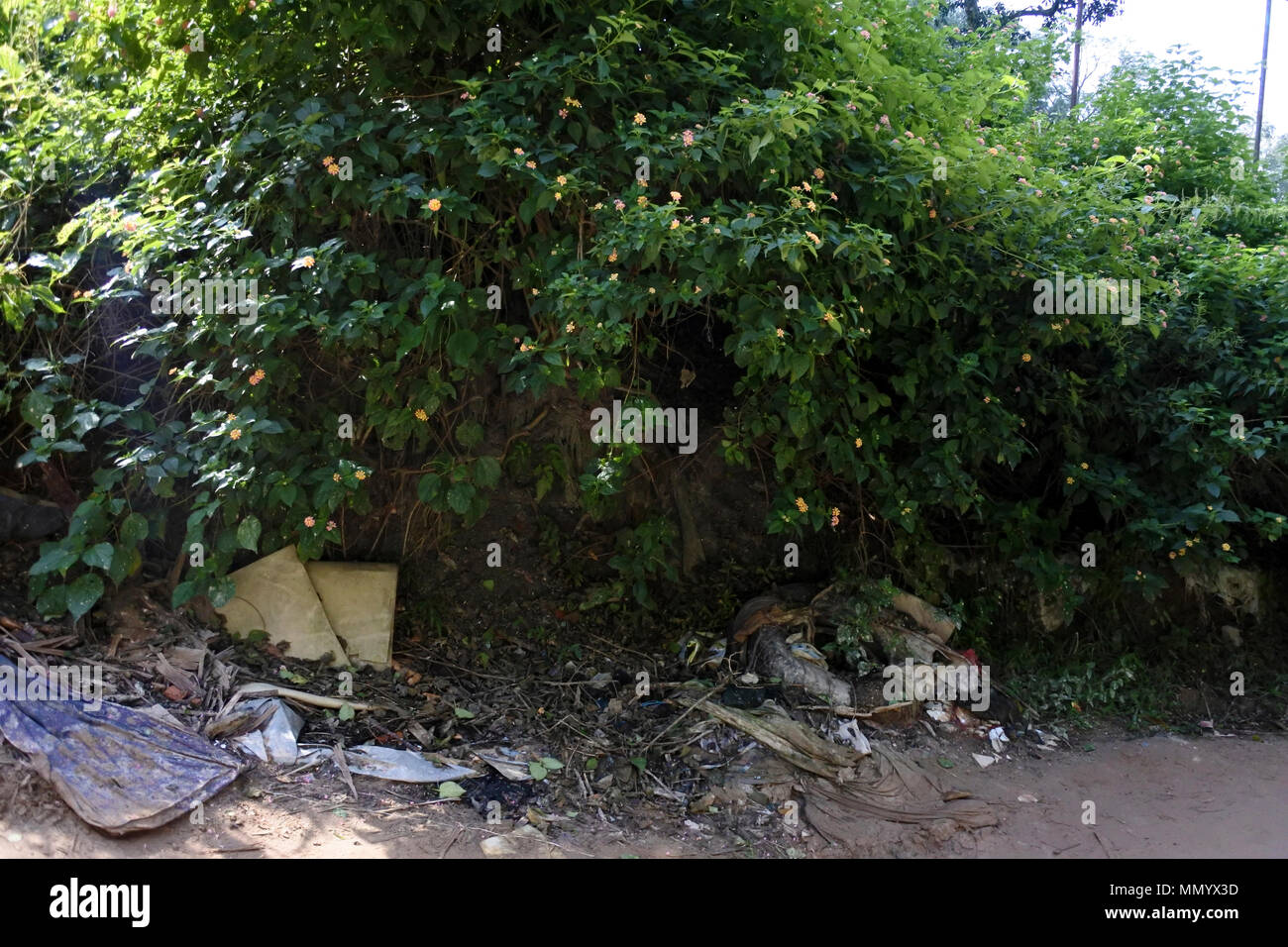 Fly tipping of rubbish all kinds in a country lane, Kathmandu, Nepal