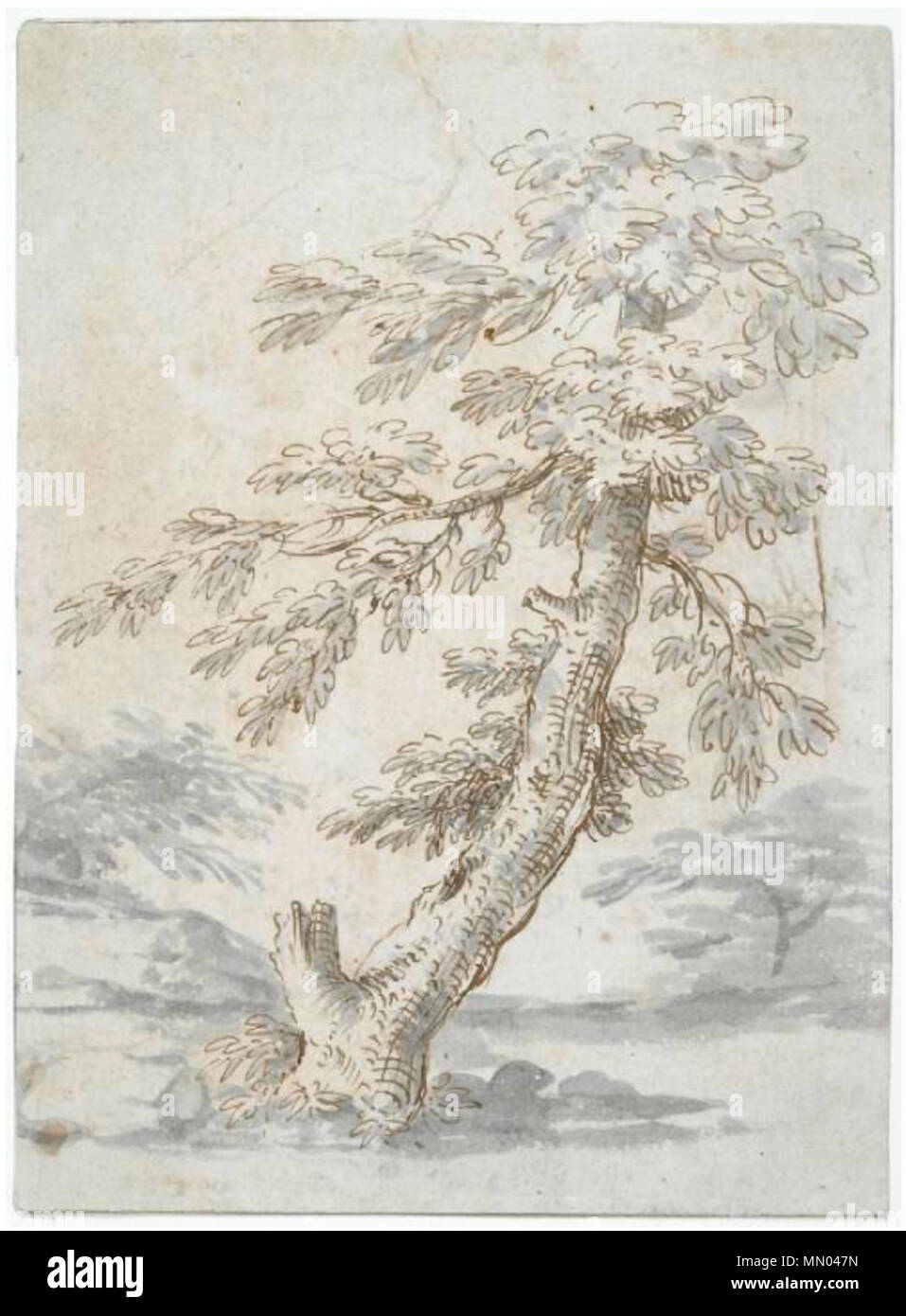 . English: Abraham Genoels, Study of a tree, drawing in pen, brown ink and grey wash, on paper, stuck down; Dimensions: height: 281 mm and width: 206 mm; 17th–early 18th century, The Fitzwilliam Museum  . 17th–early 18th century.   Abraham Genoels  (1640–1723)     Alternative names Archimedes, Abraham Genouil  Description Flemish painter, draughtsman and etcher  Date of birth/death 25 May 1640 10 May 1723  Location of birth/death Antwerp Antwerp  Work location Antwerp, Paris (1659-1672), Antwerp (1669-1674), Rome (September 1674-1682), Paris (1682), Antwerp (8 December 1682-1723)  Authority co Stock Photo