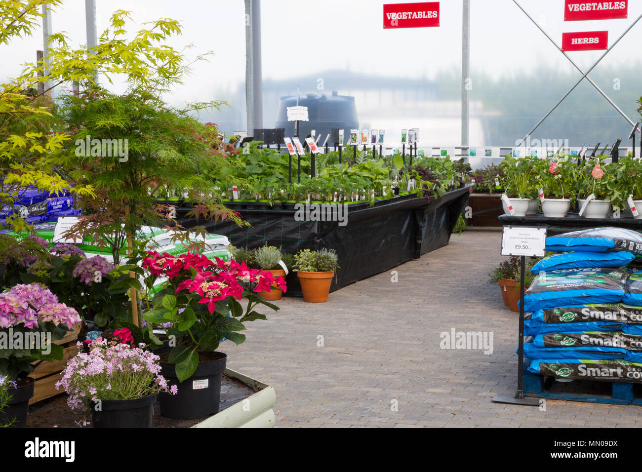 Overview garden centre greenhouse hi-res stock photography and images ...