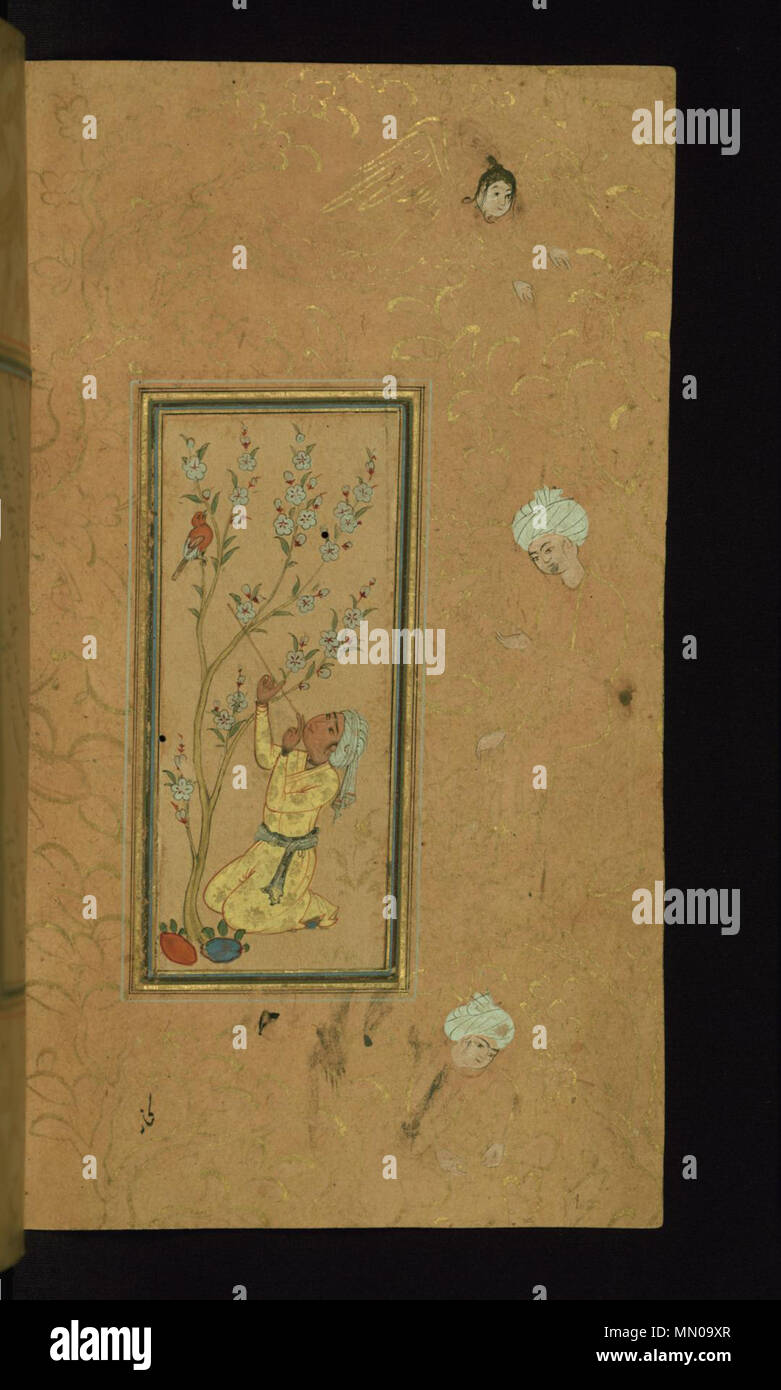 W.653.24b Anonymous (Iranian). 'A Young Man Playing Flute,' 1105 AH/AD 1693. ink and pigments on non-European paper. Walters Art Museum (W.653.24B): Acquired by Henry Walters. Iranian - Young Man Playing Flute with Singing Bird Perched in a Blossoming Tree - Walters W65324B - Full Page Stock Photo