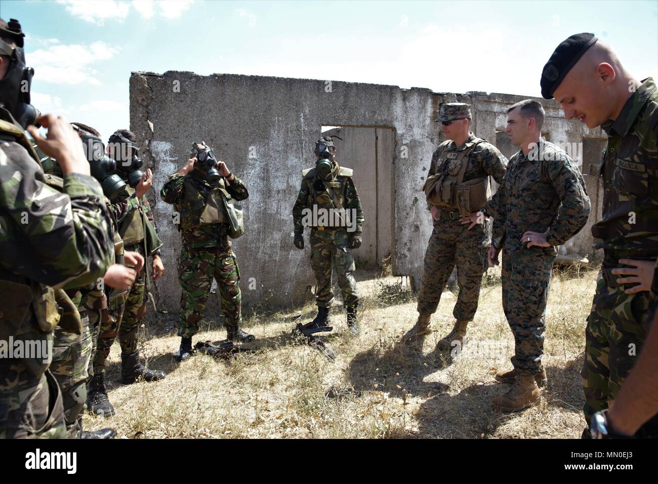 U.S. Marines with Black Sea Rotational Force 17.1 go through don and clear procedures with the Romanian military aboard Novo Selo Training Area, Bulgaria, Aug. 2, 2017. This range was a part of Exercise Platinum Lion 17.2, a multinational exercise to build relationships with NATO Allies and partner nations through combined arms training. (U.S. Marine Corps photo by Sgt. Patricia A. Morris) Stock Photo