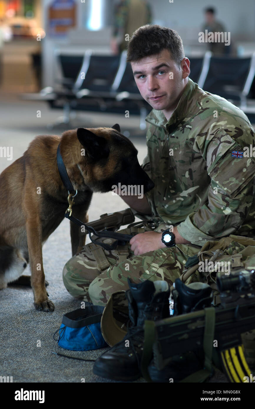 U.K. Royal Air Force Cpl. Mathew Hoskinson, dog handler, Royal Air Force Station Henlow, Bedfordshire, England, poses for a photo with Tyco, a Belgium Malinois, while waiting for transportation at Grant County International Airport, Wash., Aug. 3, 2017, in support of Exercise Mobility Guardian. More than 3,000 Airmen, Soldiers, Sailors, Marines and international partners converged on the state of Washington in support of Mobility Guardian. The exercise is intended to test the abilities of the Mobility Air Forces to execute rapid global mobility missions in dynamic, contested environments. Mobi Stock Photo