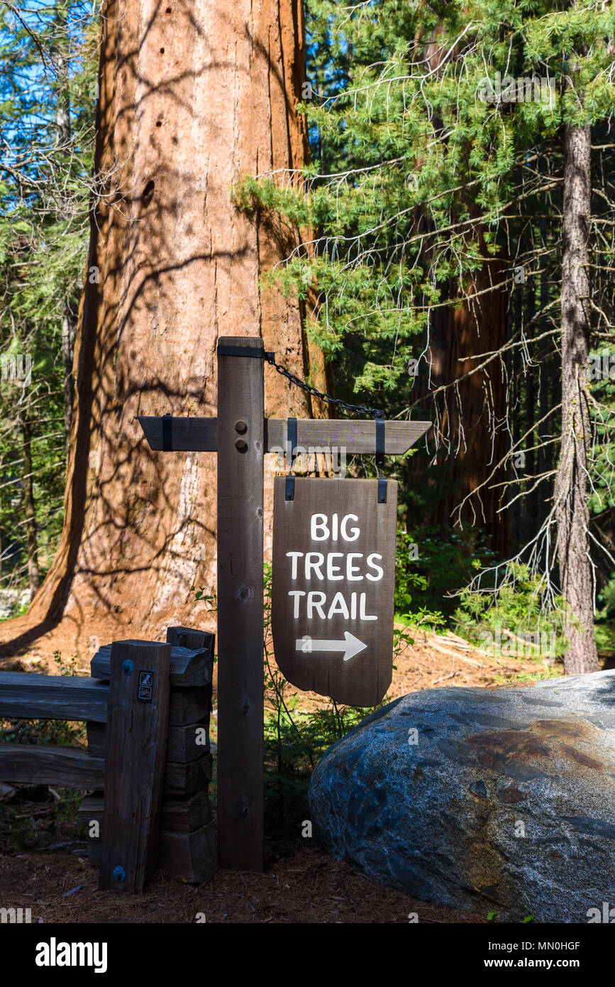 Beautiful scenery on the Big Trees Trail in Sequoia National Park where